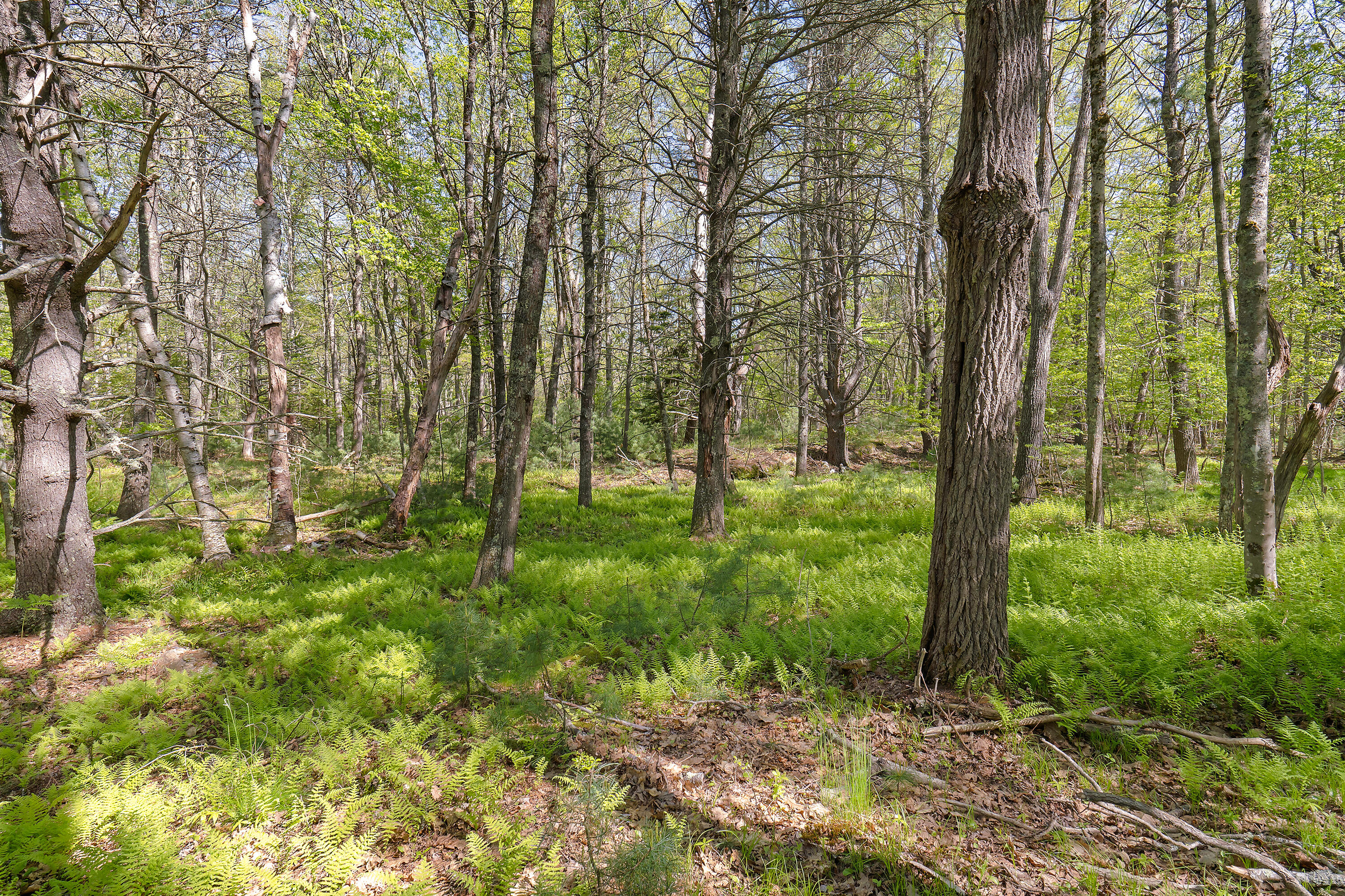 17-1 Bald Head Road Arrowsic ME 04548