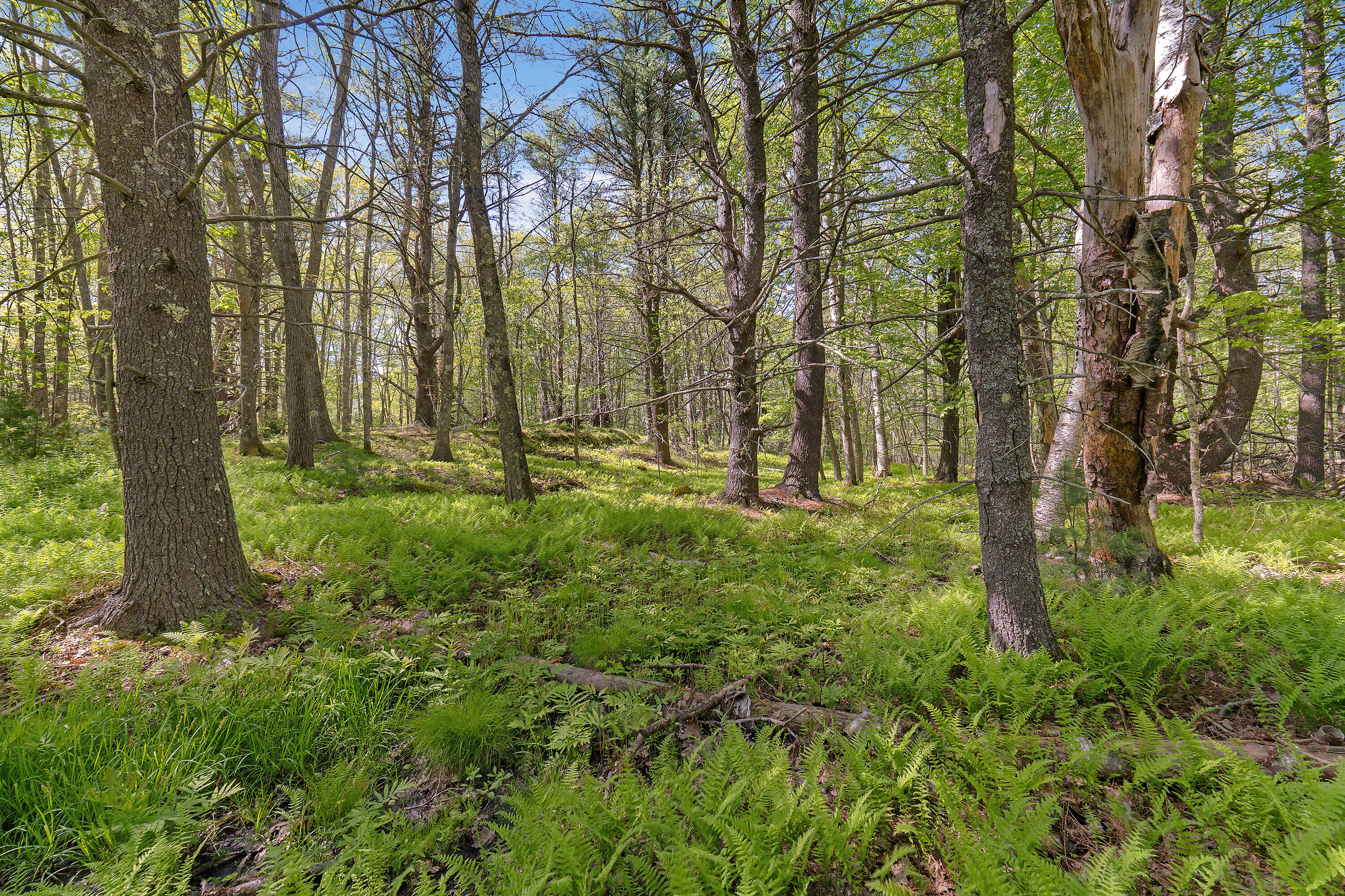 17-1 Bald Head Road Arrowsic ME 04548