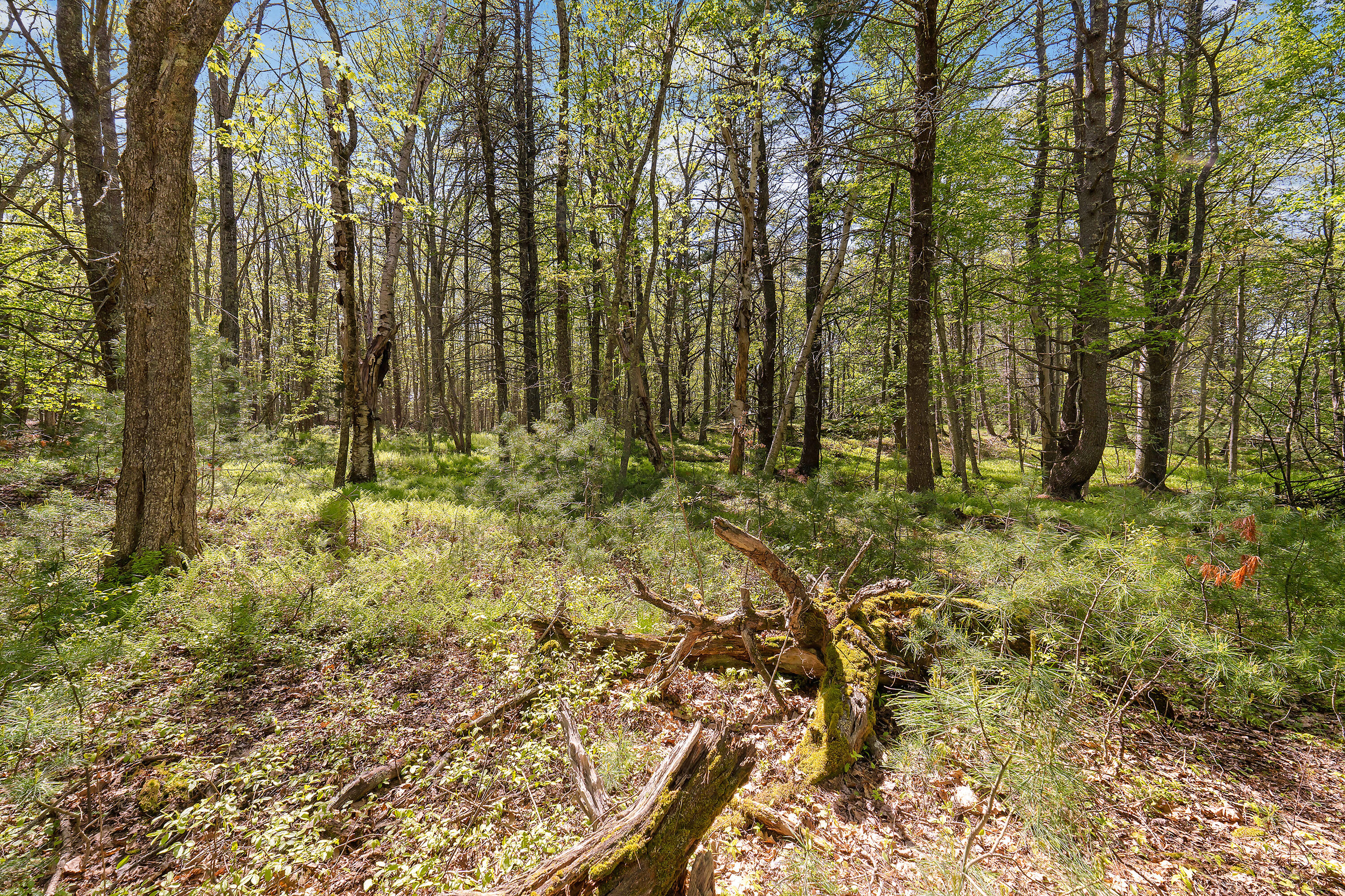 17-1 Bald Head Road Arrowsic ME 04548