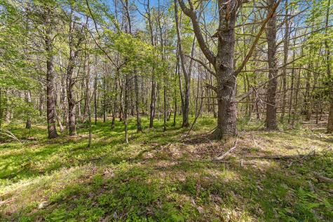 17-1 Bald Head Road Arrowsic ME 04548