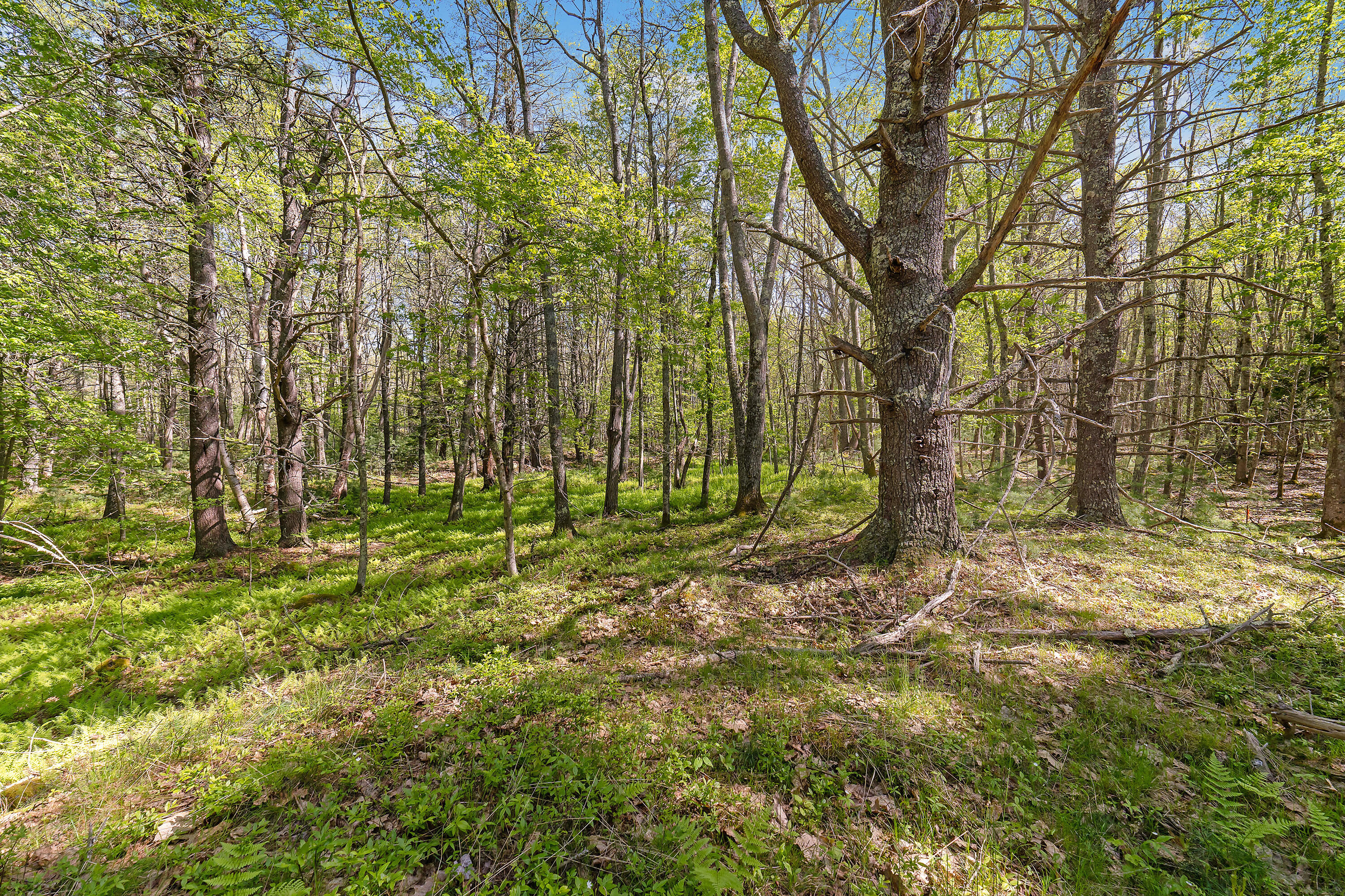 17-1 Bald Head Road Arrowsic ME 04548