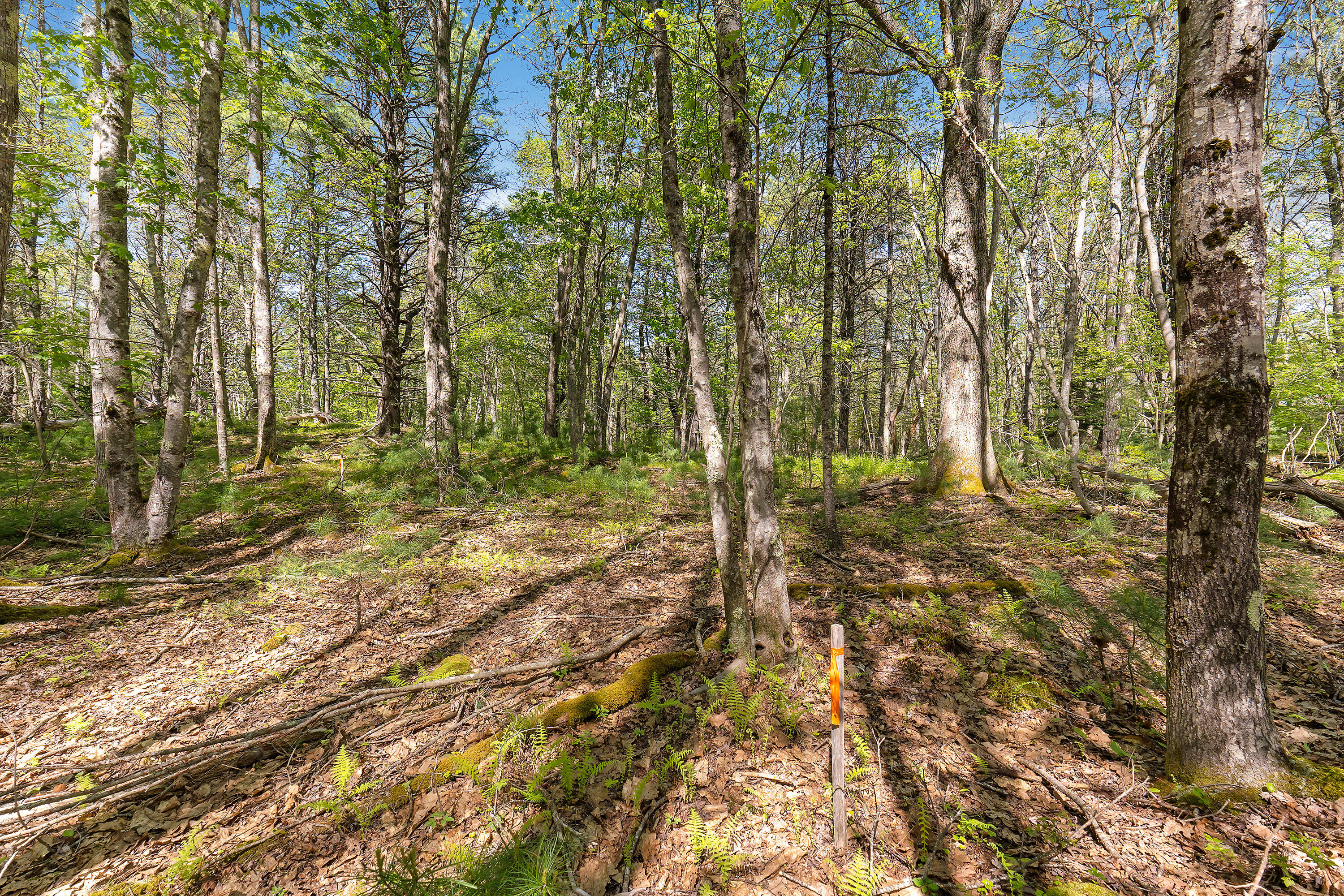 17-1 Bald Head Road Arrowsic ME 04548