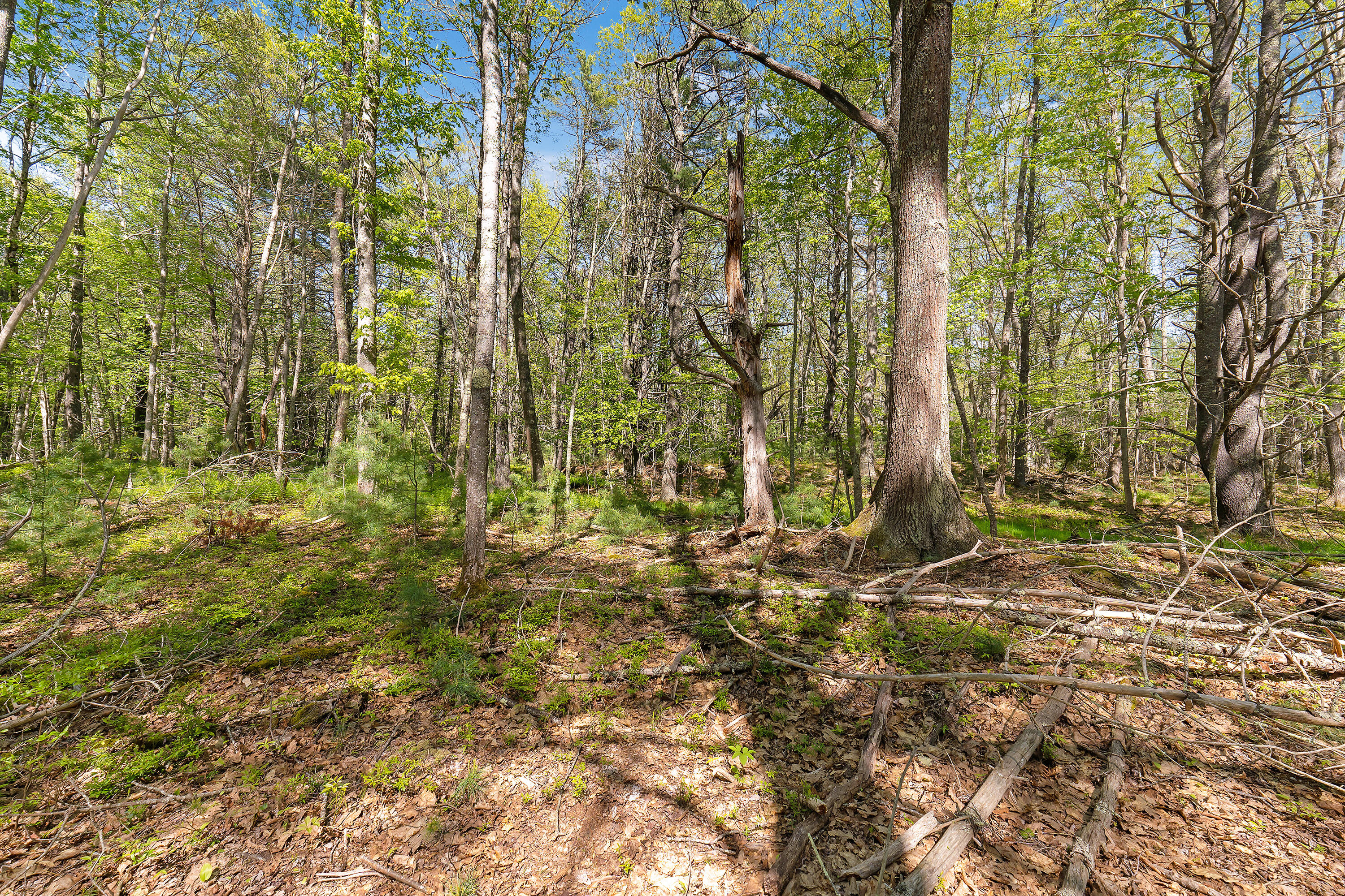 17-1 Bald Head Road Arrowsic ME 04548