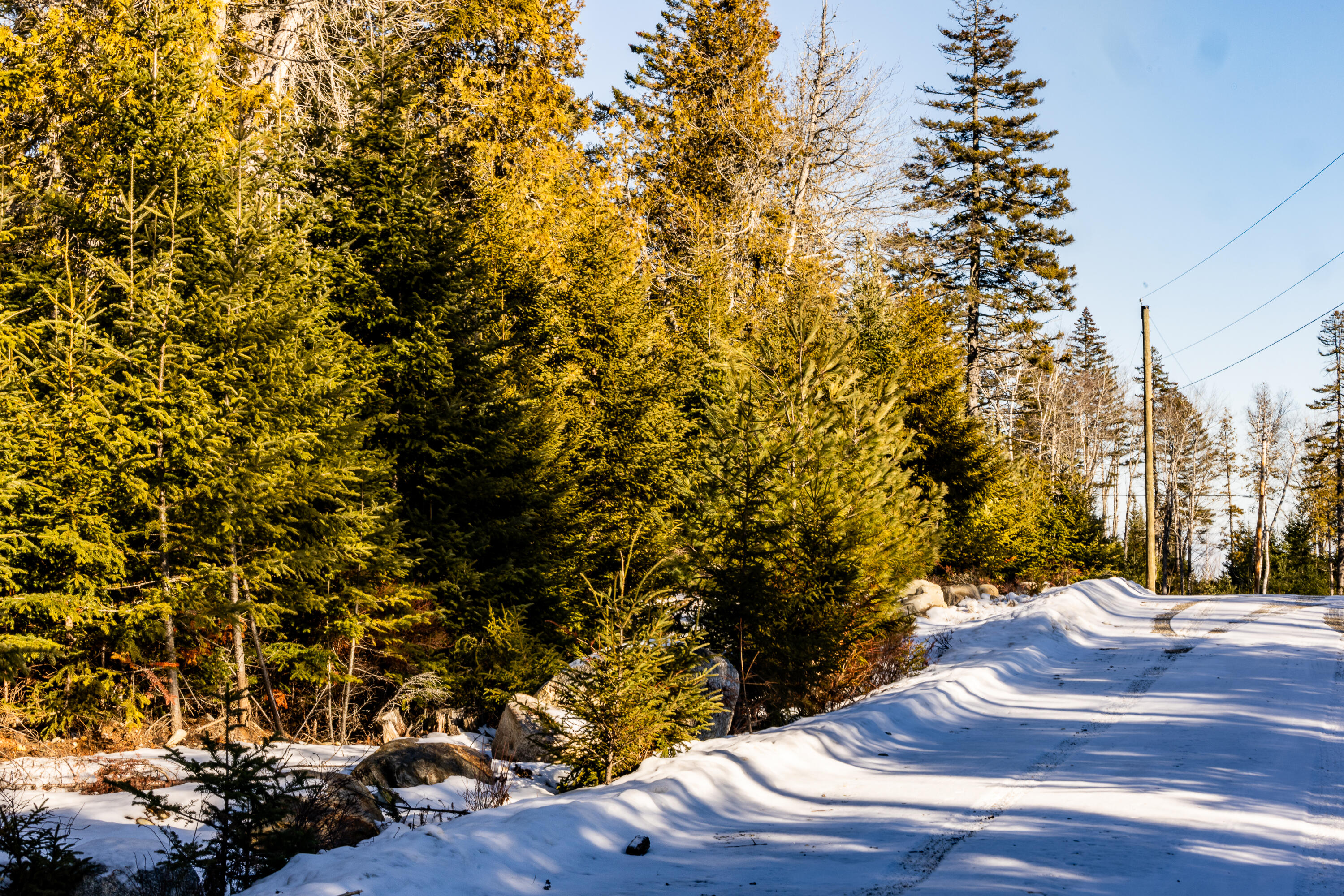 Lot 10 4r2 Pine Cone Lane Surry ME 04684