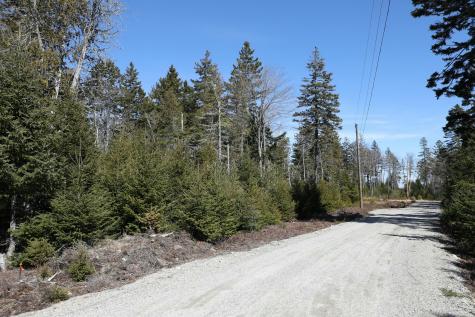 Lot 10 4r2 Pine Cone Lane Surry ME 04684