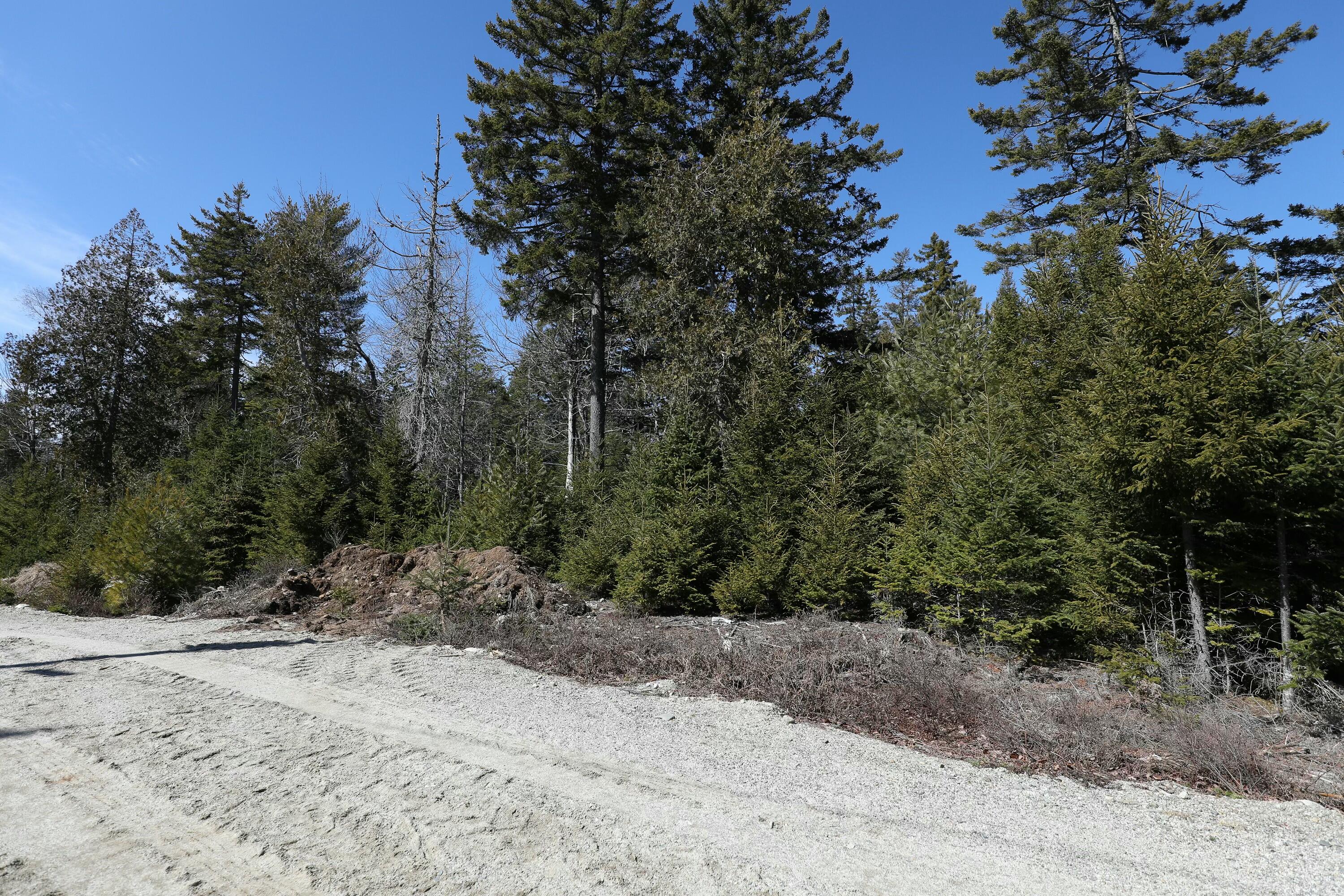 Lot 10 4r2 Pine Cone Lane Surry ME 04684