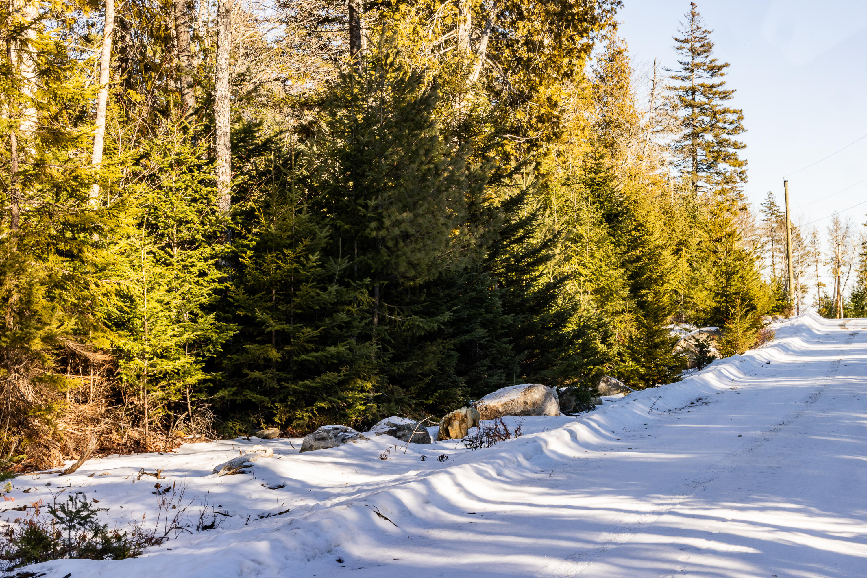 Lot 10 4r2 Pine Cone Lane Surry ME 04684