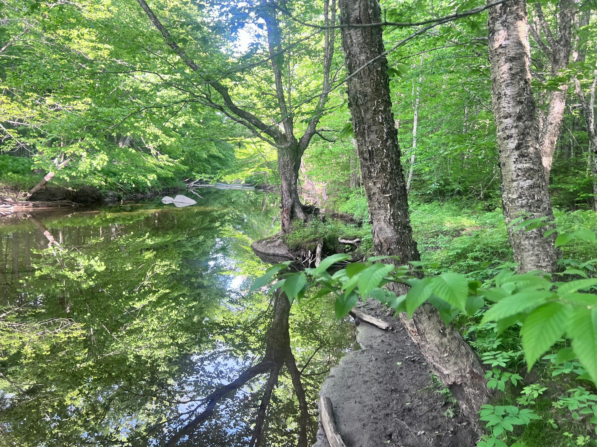 Lot 039-e Pond Road Wilton ME 04294