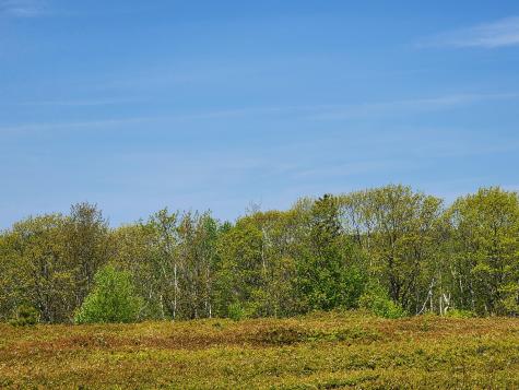 2 Whispering Berries Hill Liberty ME 04949