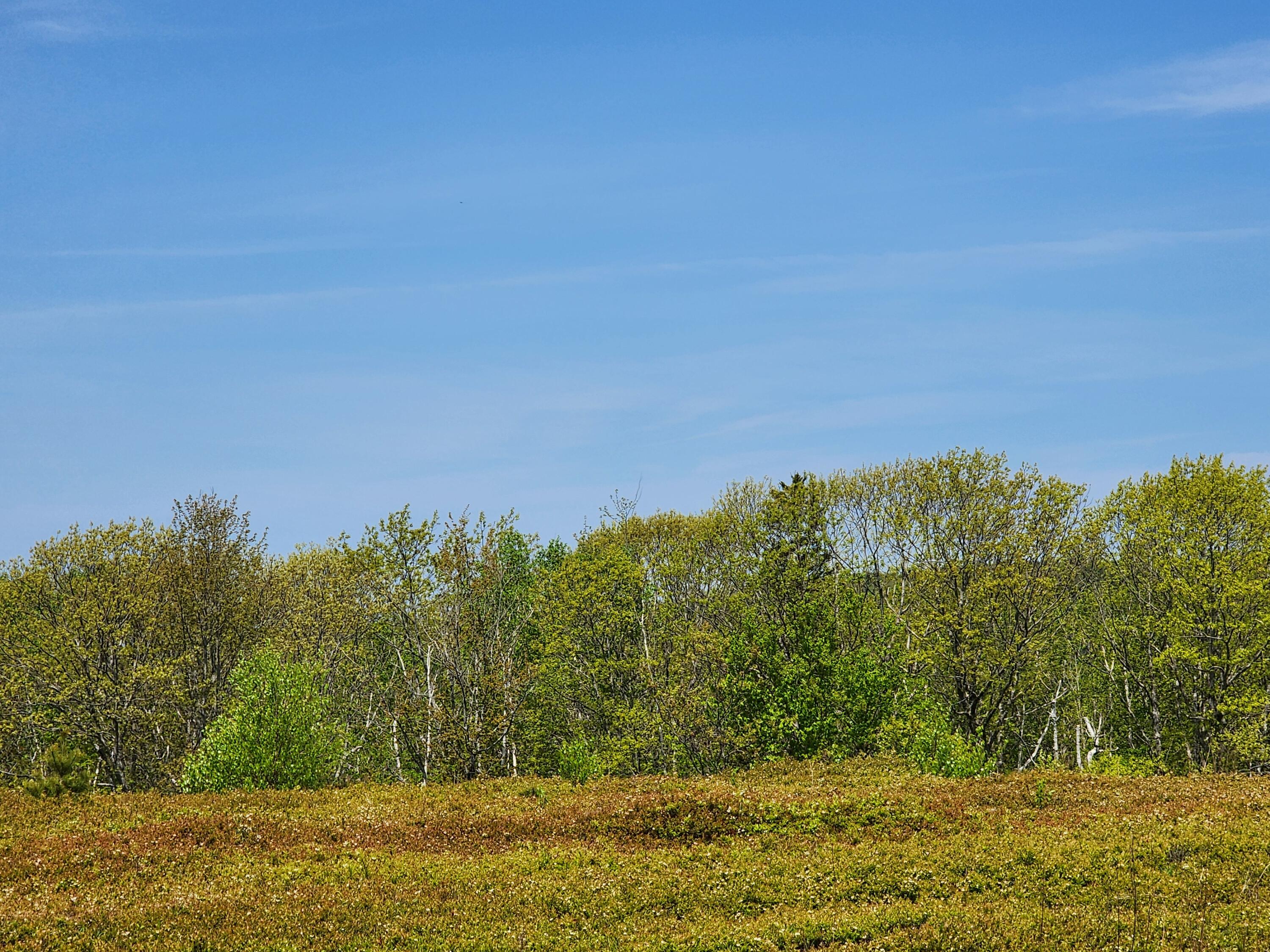 2 Whispering Berries Hill Liberty ME 04949