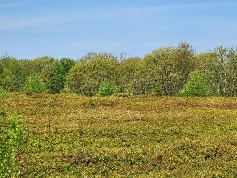 2 Whispering Berries Hill Liberty ME 04949