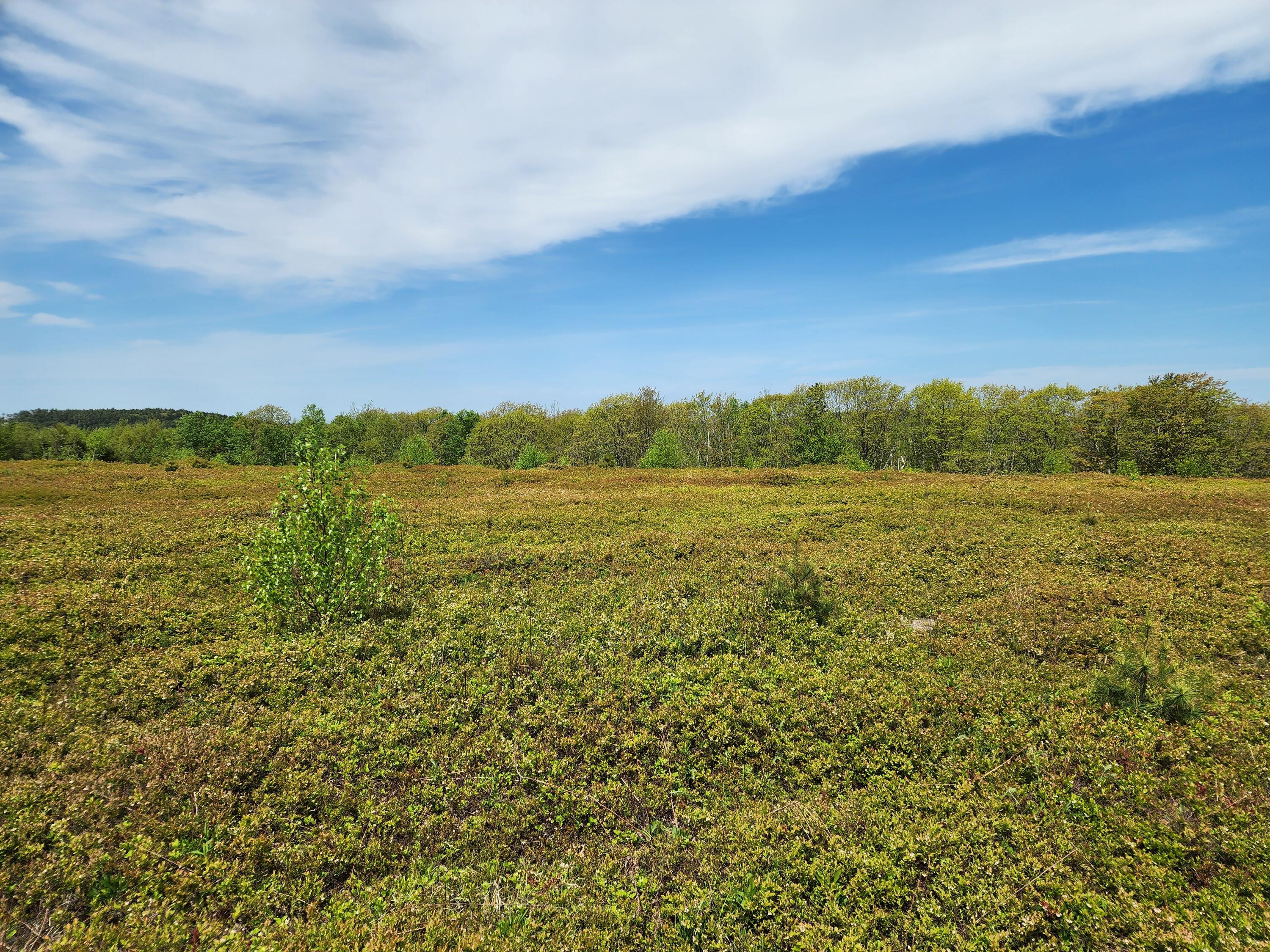 2 Whispering Berries Hill Liberty ME 04949