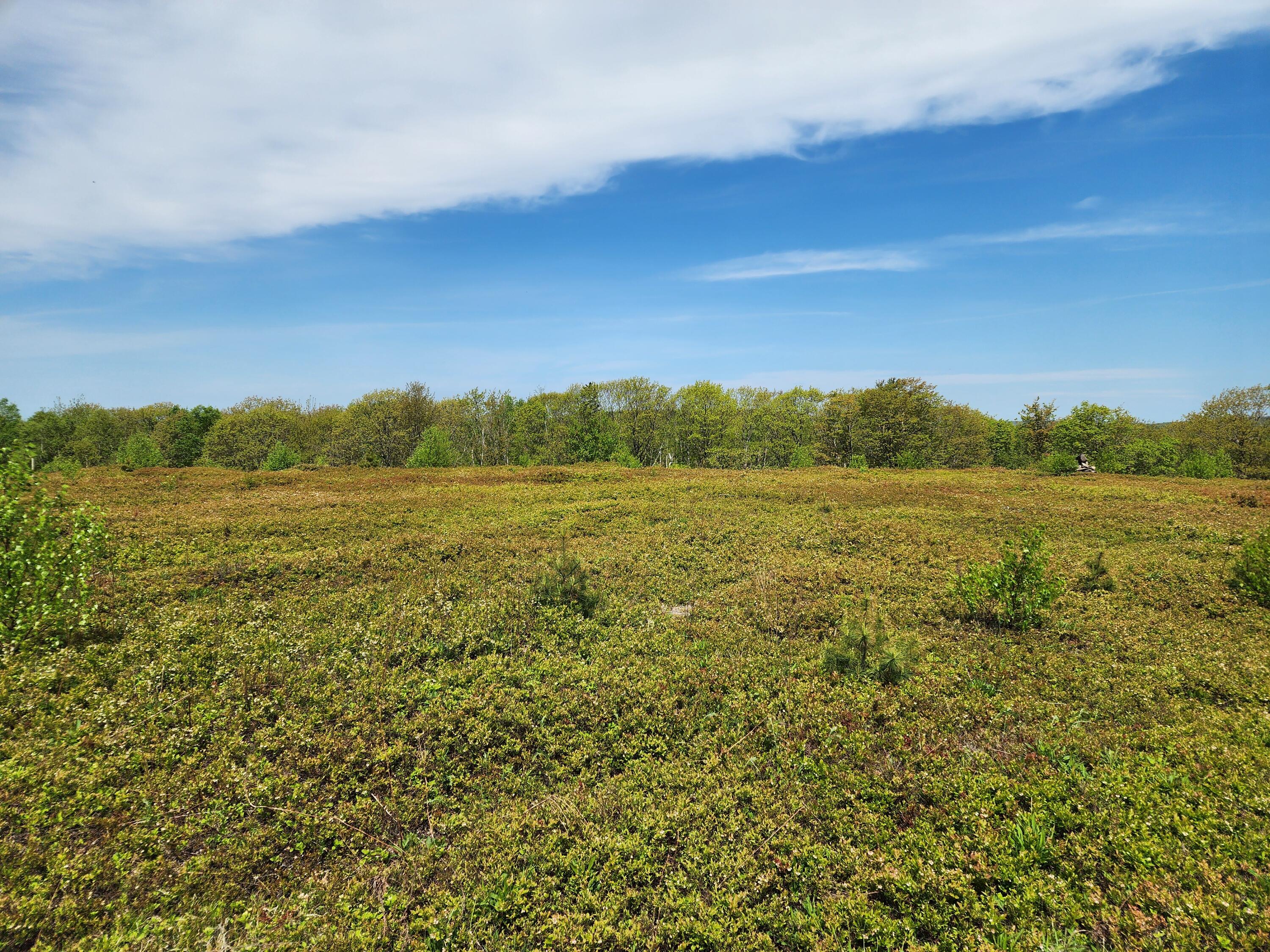 2 Whispering Berries Hill Liberty ME 04949