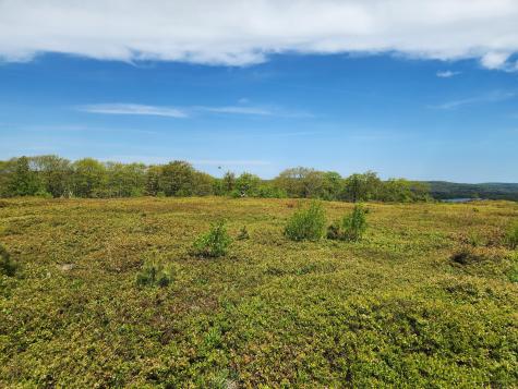 2 Whispering Berries Hill Liberty ME 04949