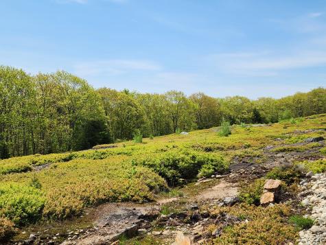 2 Whispering Berries Hill Liberty ME 04949
