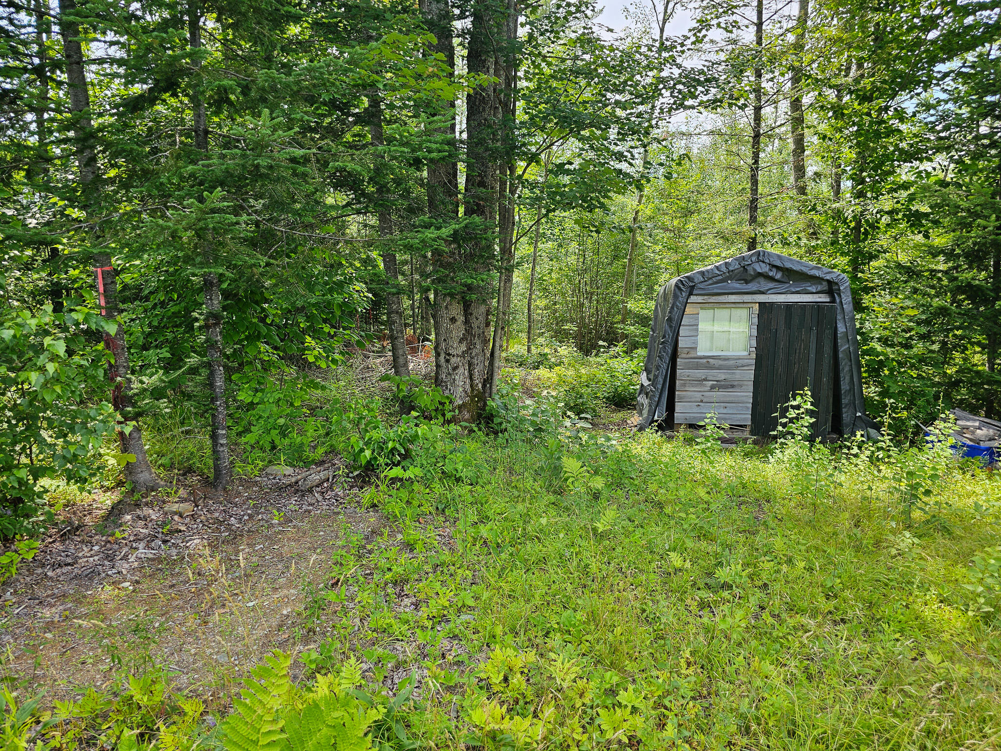 35 Birch Lane Lincoln ME 04457