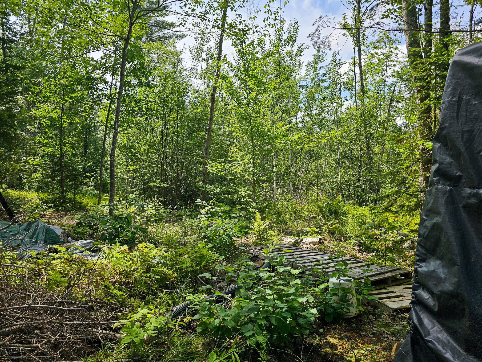 35 Birch Lane Lincoln ME 04457