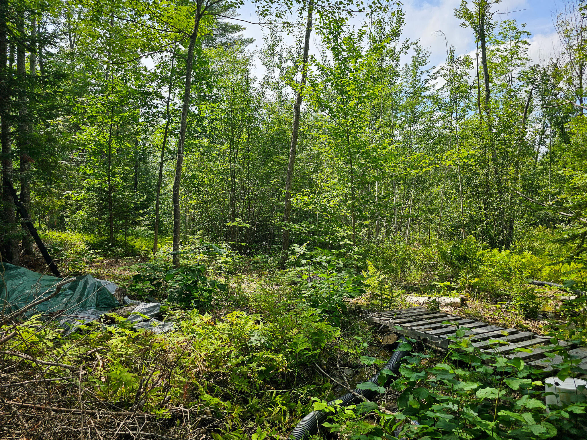 35 Birch Lane Lincoln ME 04457