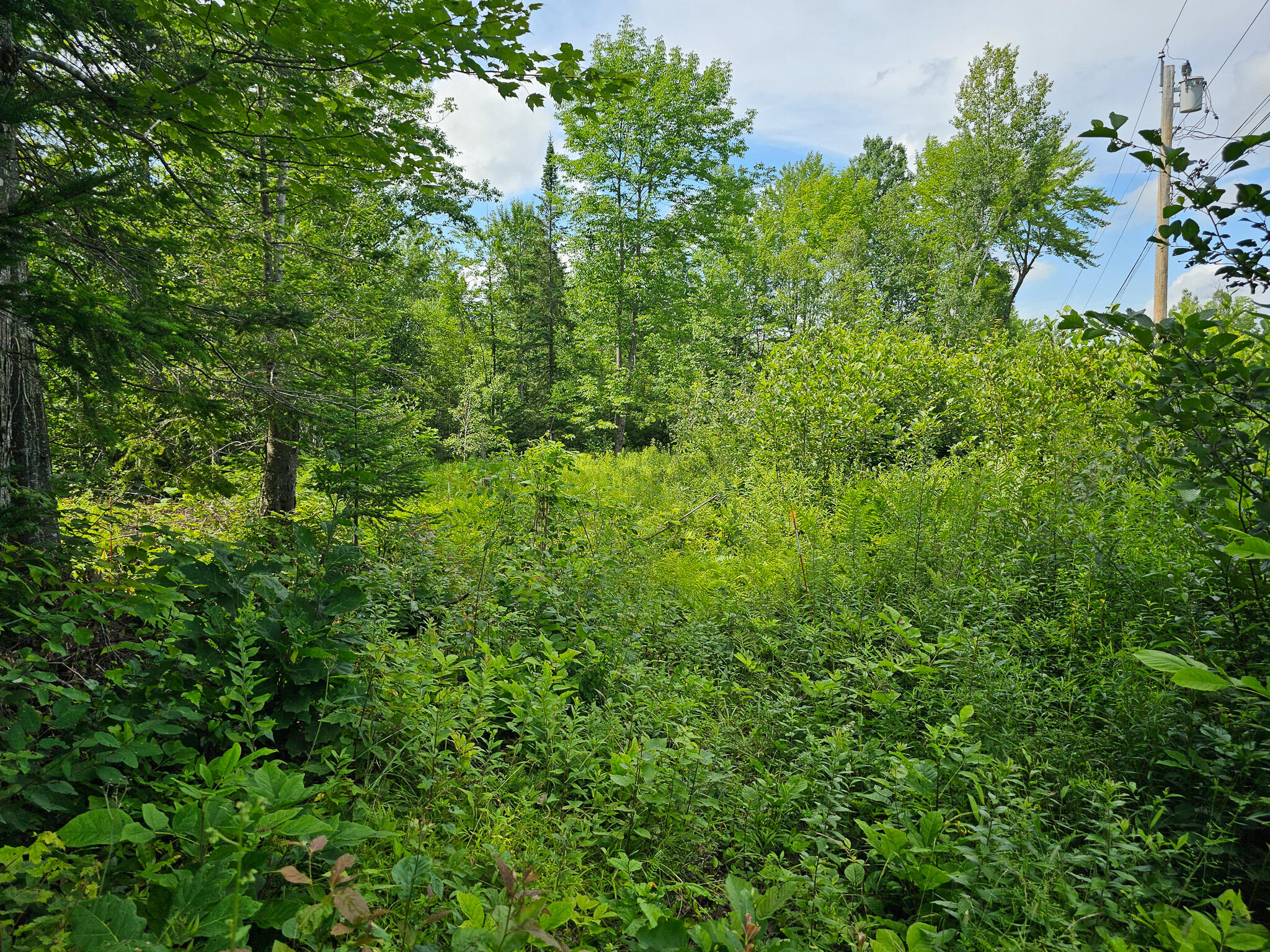 35 Birch Lane Lincoln ME 04457