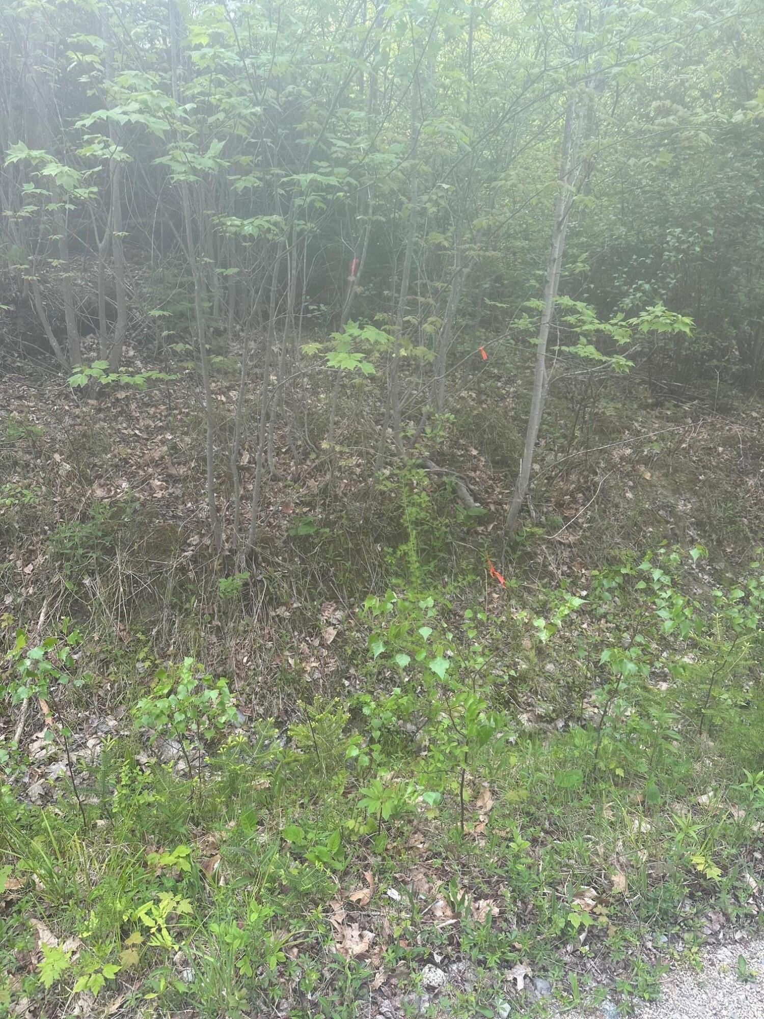 1 Morse District Road N Steuben ME 04680