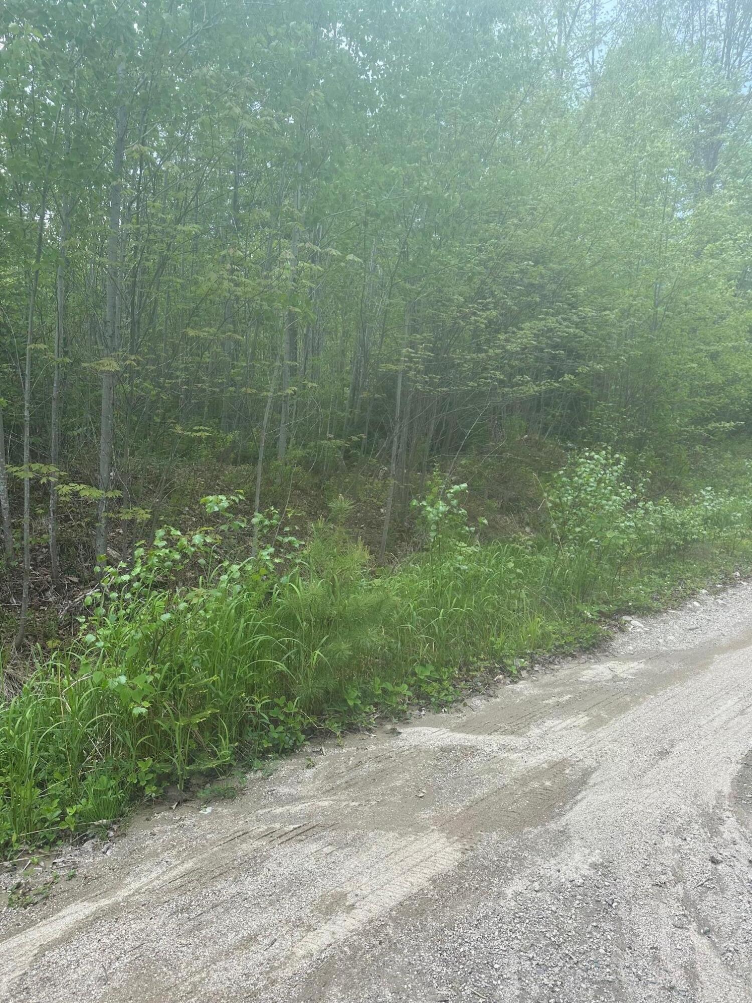1 Morse District Road N Steuben ME 04680