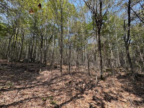 P/o M29l23 Bluff Road Enfield ME 04493