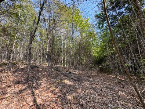 P/o M29l23 Bluff Road Enfield ME 04493