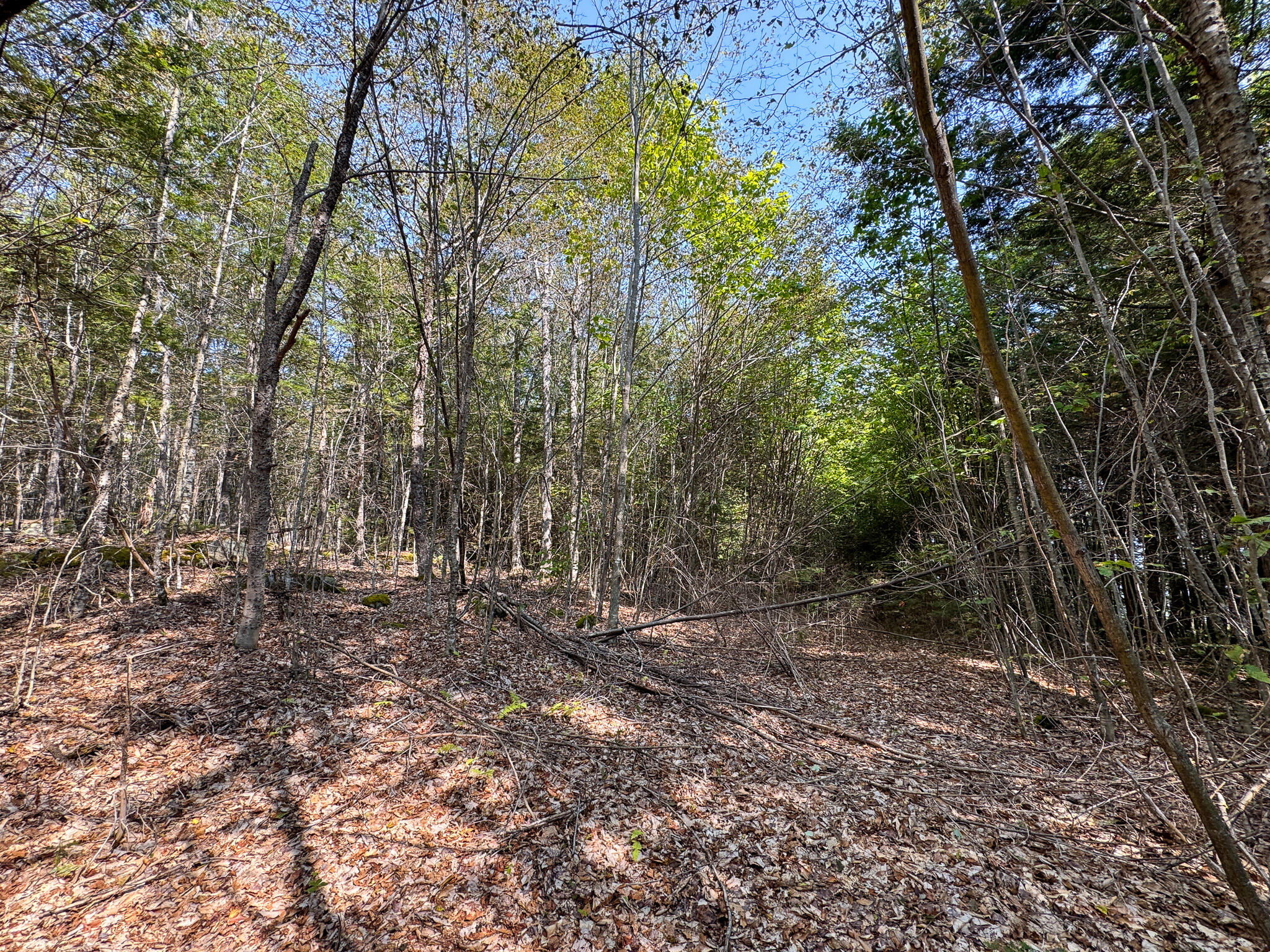 P/o M29l23 Bluff Road Enfield ME 04493