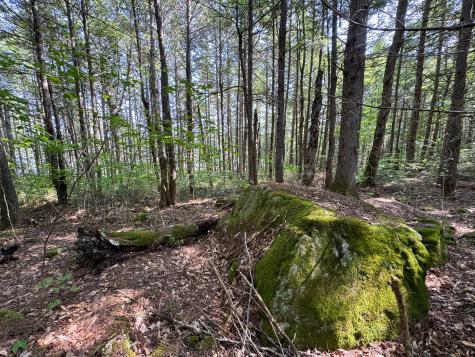 P/o M29l23 Bluff Road Enfield ME 04493