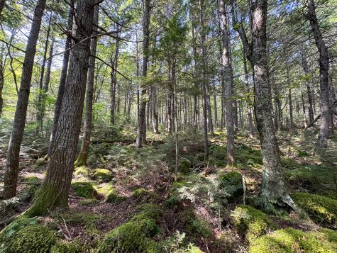 P/o M29l23 Bluff Road Enfield ME 04493