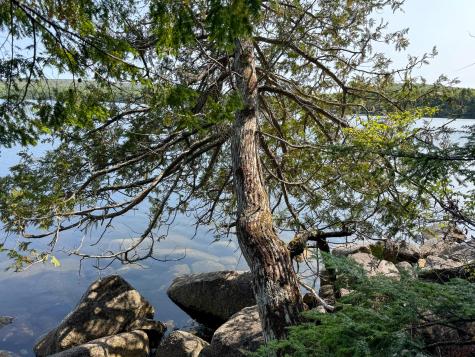 P/o M29l23 Bluff Road Enfield ME 04493