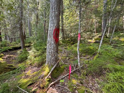 P/o M29l23 Bluff Road Enfield ME 04493