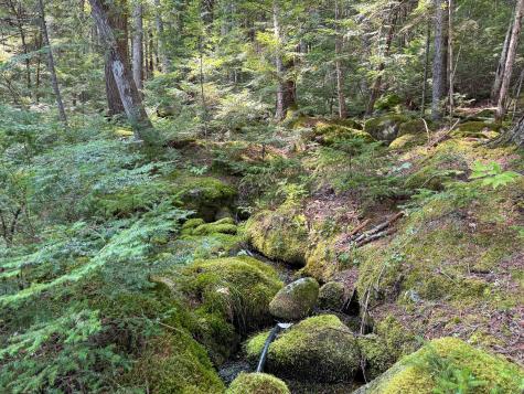 P/o M29l23 Bluff Road Enfield ME 04493