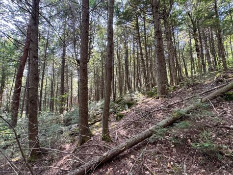 P/o M29l23 Bluff Road Enfield ME 04493