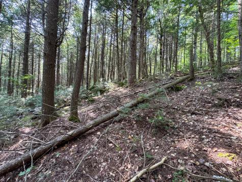 P/o M29l23 Bluff Road Enfield ME 04493