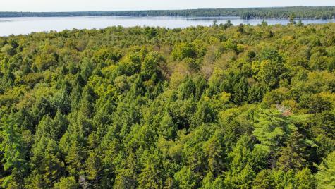 P/o M29l23 Bluff Road Enfield ME 04493