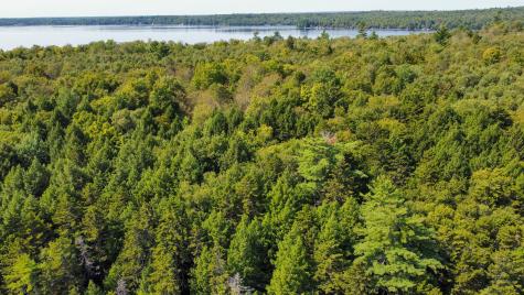 P/o M29l23 Bluff Road Enfield ME 04493