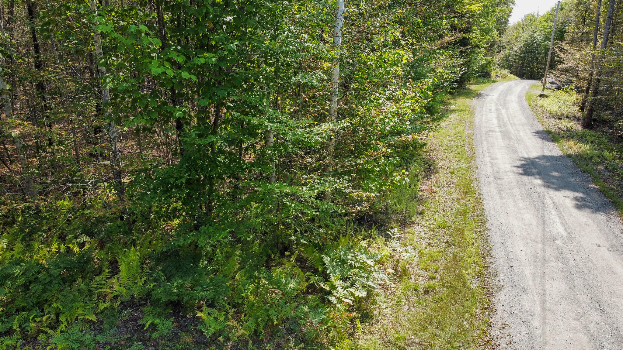 P/o M29l23 Bluff Road Enfield ME 04493
