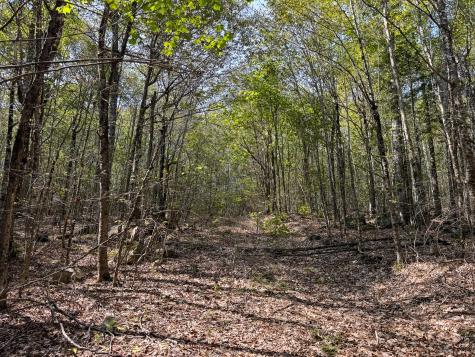 P/o M29l23 Bluff Road Enfield ME 04493