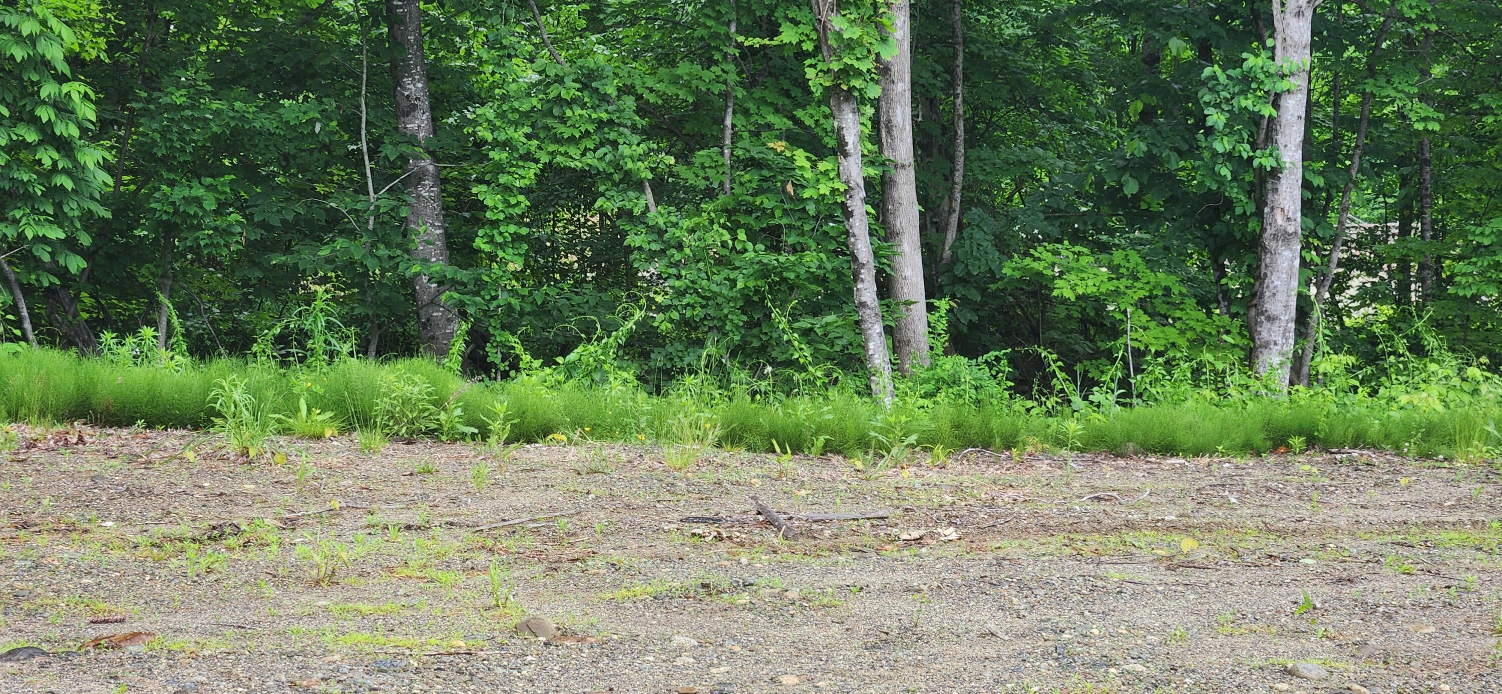 004 Titcomb Hill Road Farmington ME 04938