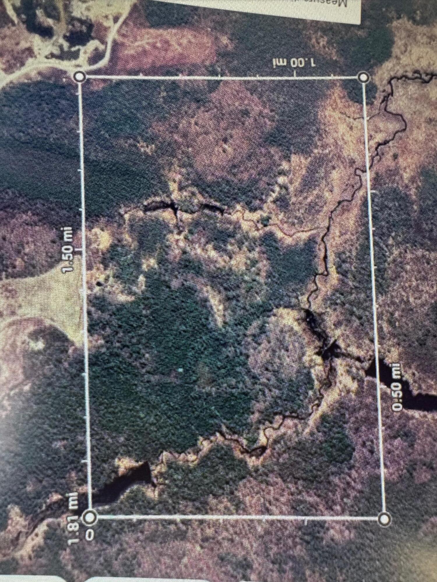 Lot 13 Off Big Ridge Road Addison ME 04606