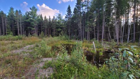 M15L10A Thomas Road Woodland ME 04736