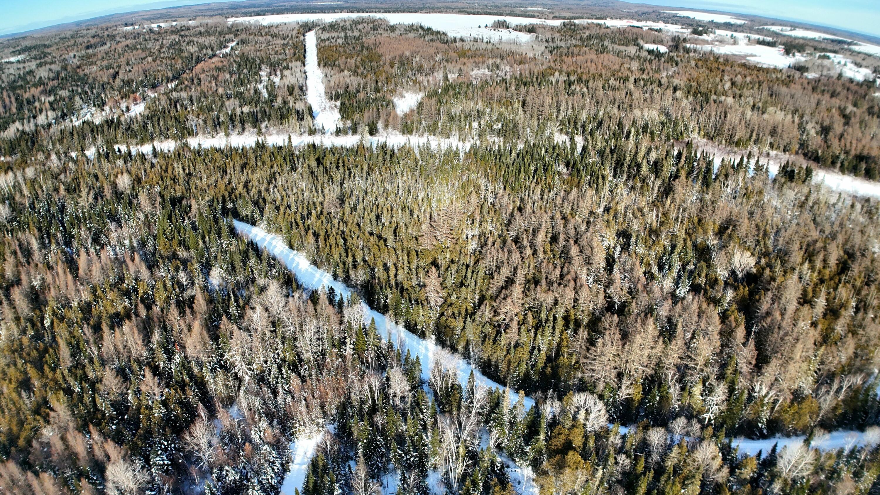 87.5/87.6 Dubay Pit Road Connor Twp ME 04736