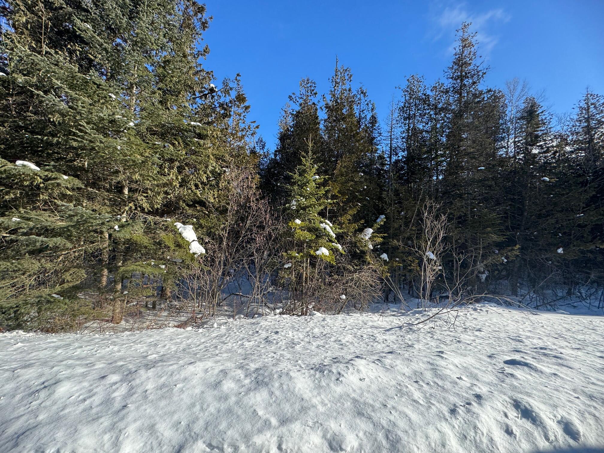 87.5/87.6 Dubay Pit Road Connor Twp ME 04736