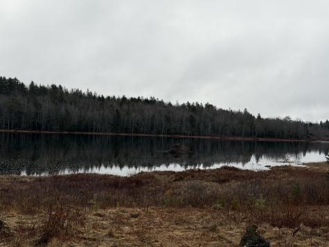 0 Guzzle Road Gouldsboro ME 04607