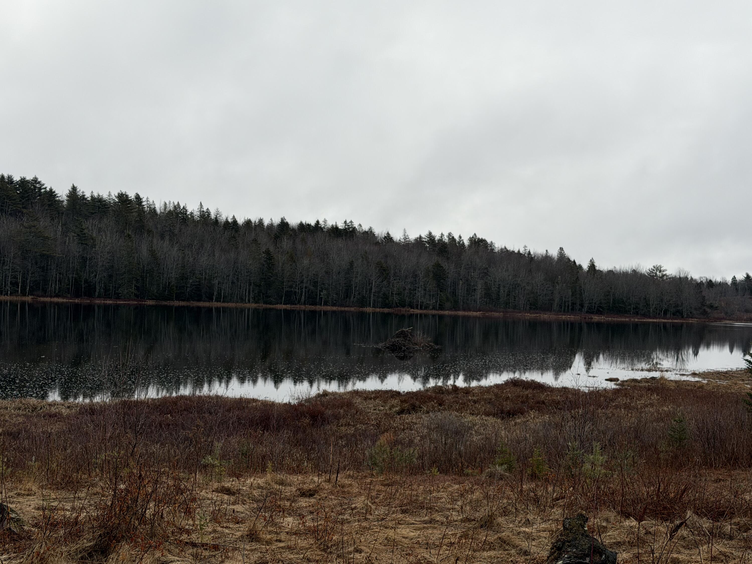 0 Guzzle Road Gouldsboro ME 04607