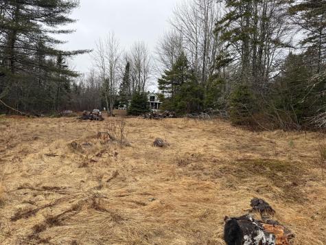 0 Guzzle Road Gouldsboro ME 04607