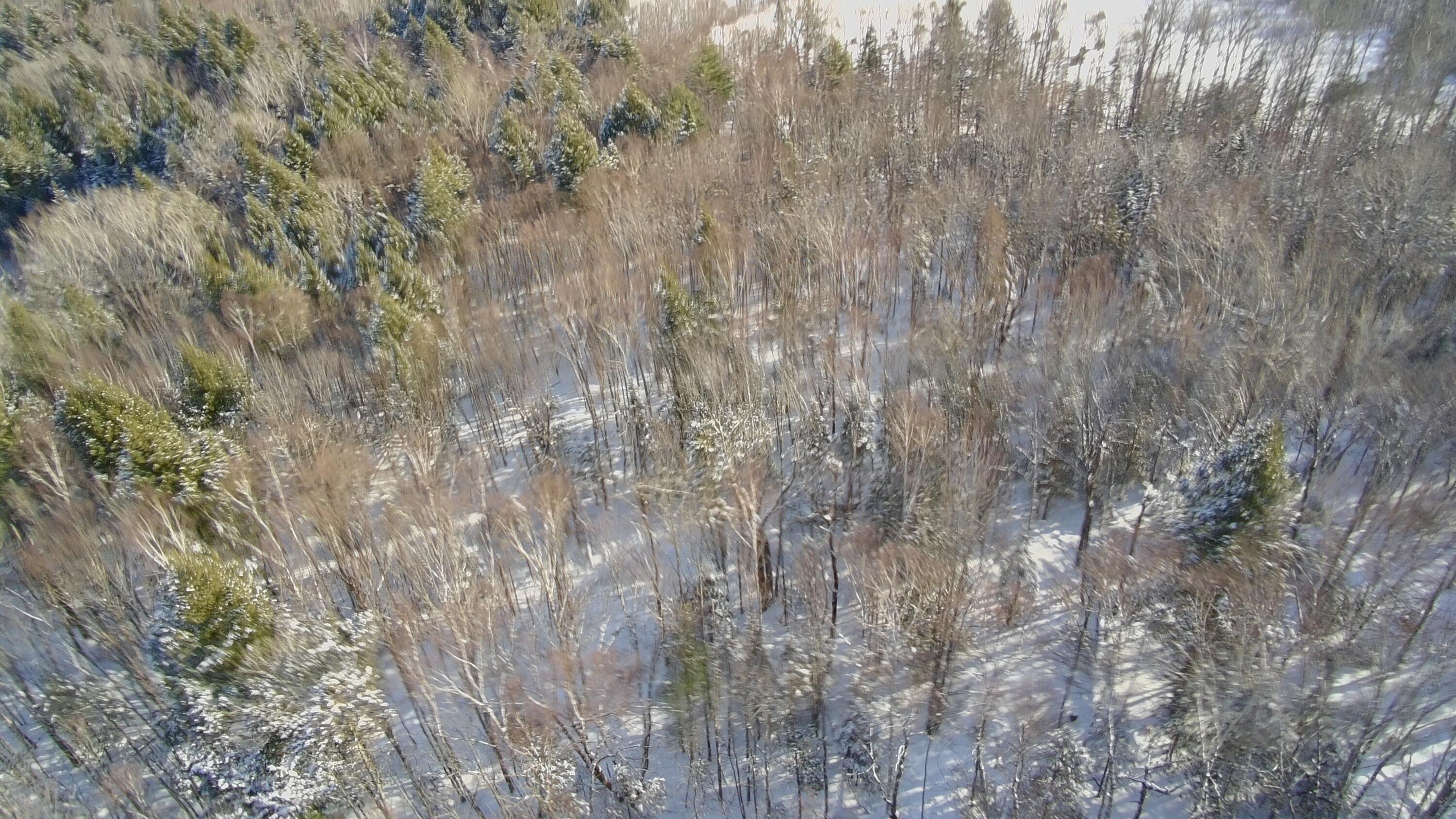 36 Ladd Road Sebec ME 04481