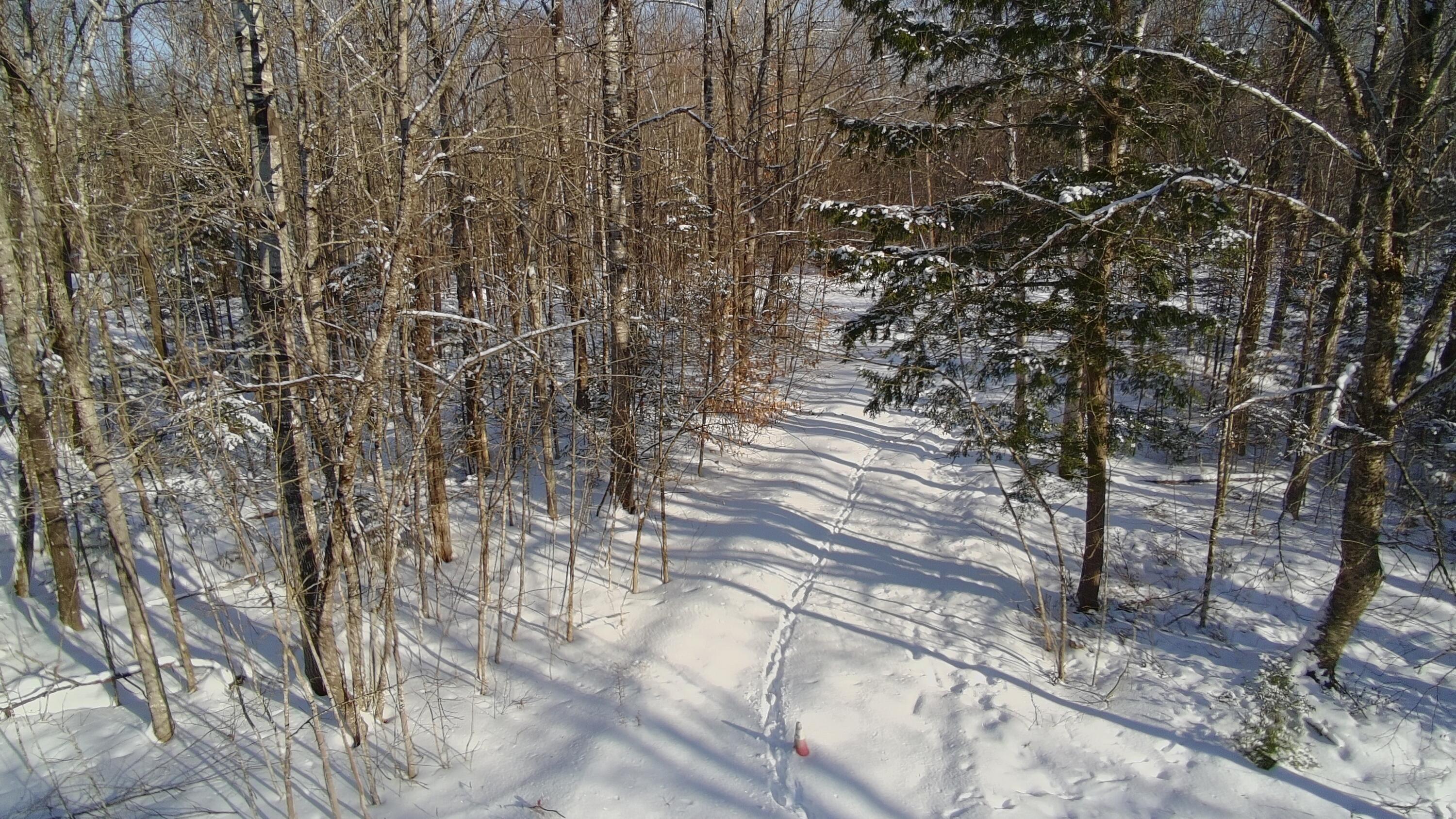 36 Ladd Road Sebec ME 04481