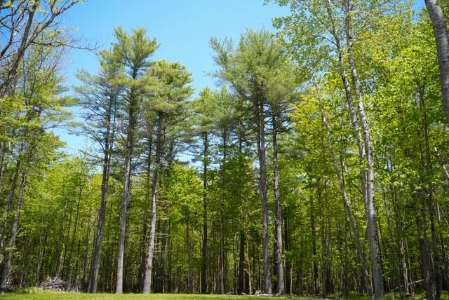 55 Lower Oak Point Road Winterport ME 04496